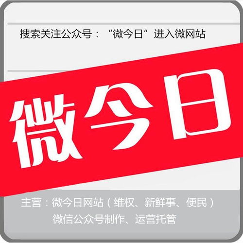 合肥市微今日網(wǎng)絡服務 驅動城市數(shù)字化轉型的智慧引擎