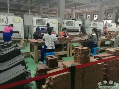 馬小龍赴廣東福美軟瓷等企業考察，推動產業合作與創新發展