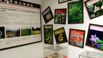 三牛文化攜手桂林植物園科普展廳，展大師特裝工廠鑄就專業展覽新典范