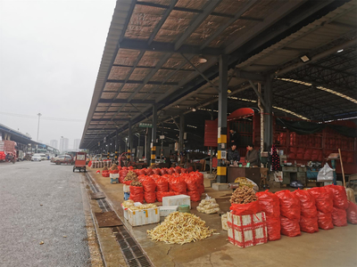 春節“菜籃子”供應充足，雙福國際農貿城假期交易量近5萬噸保民生