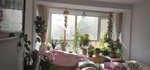 樂都本地房屋出租信息更新（1月27日） | 精品房源別錯過，高性價比住房租賃盤點